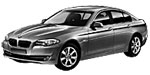BMW F10 P245F Fault Code